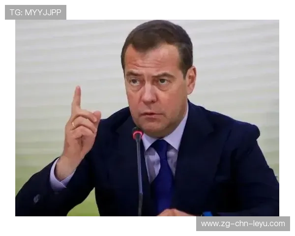 梅德韦杰夫硬地场上简直没对手，梅德韦杰夫资料