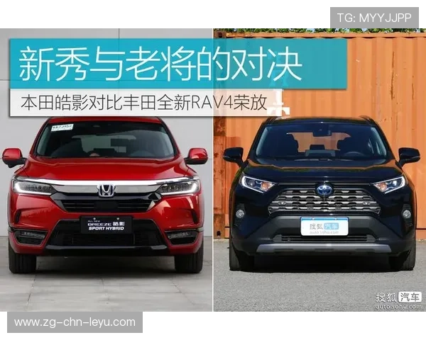 荷兰门将对比：老将与新秀谁更稳健？